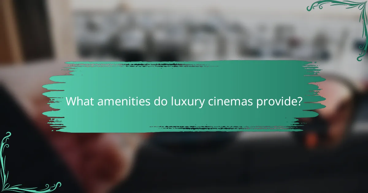 What amenities do luxury cinemas provide?